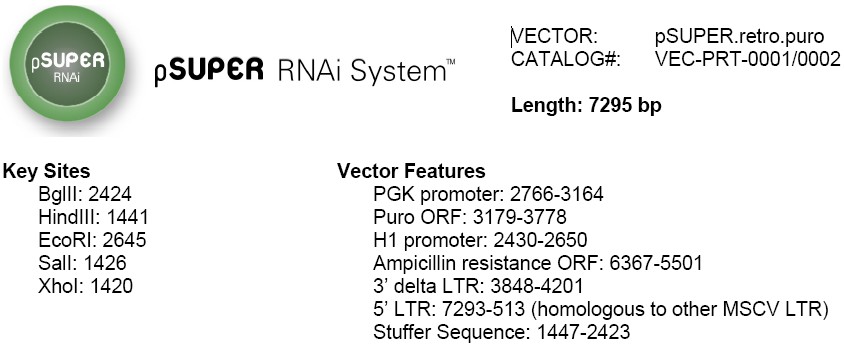 RNAi-Ready pSIREN-RetroQ载体特征